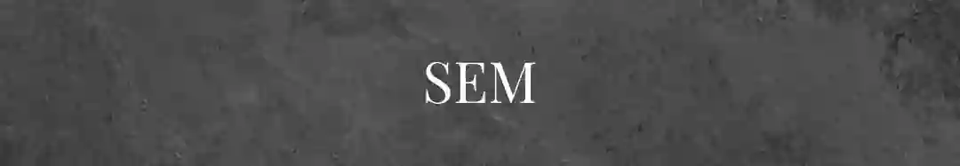 SEM by Digital Marketing Expert in Dubai (3) (1)